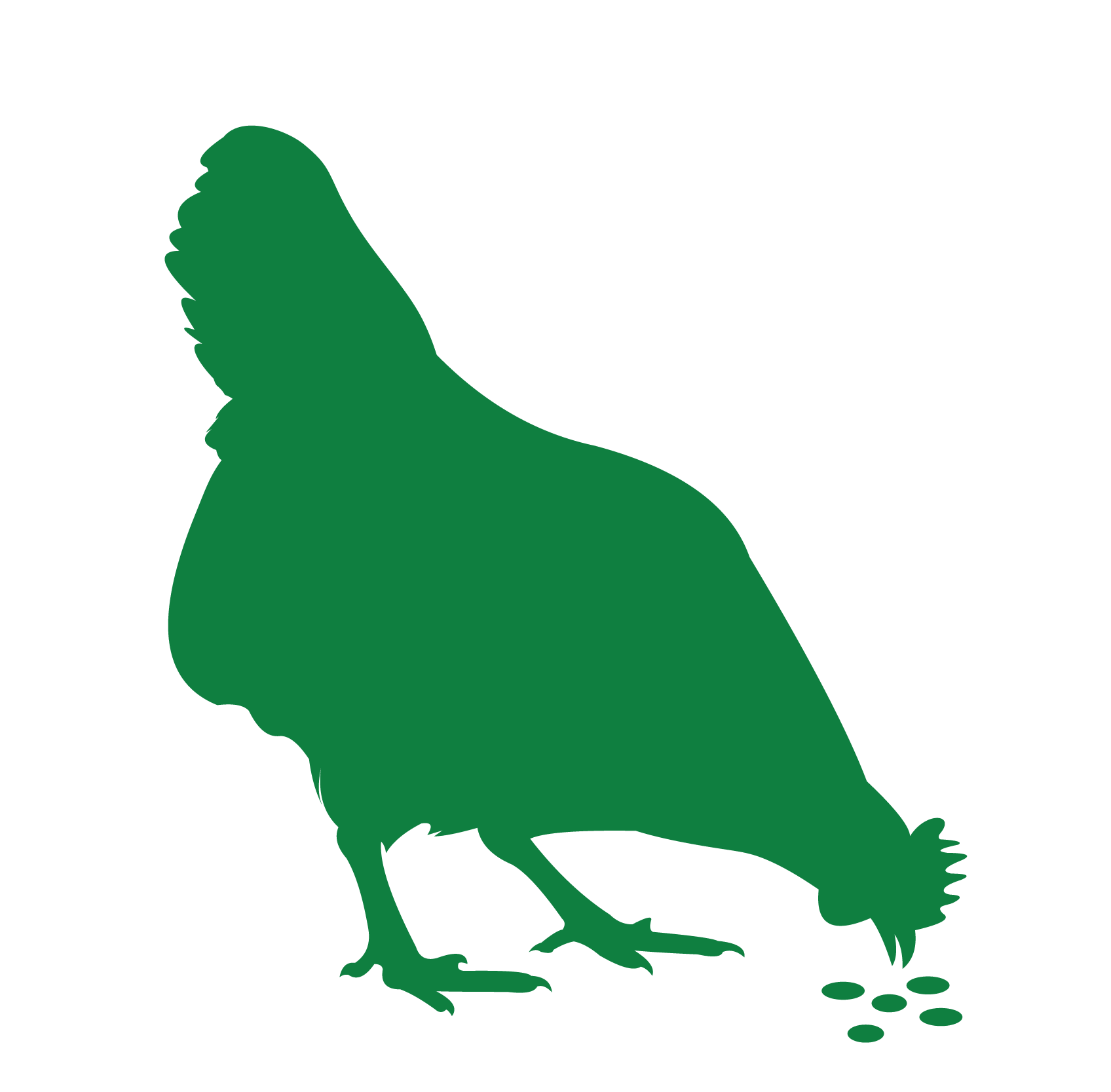 feed - approved approved