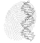 Fingerprint with DNA